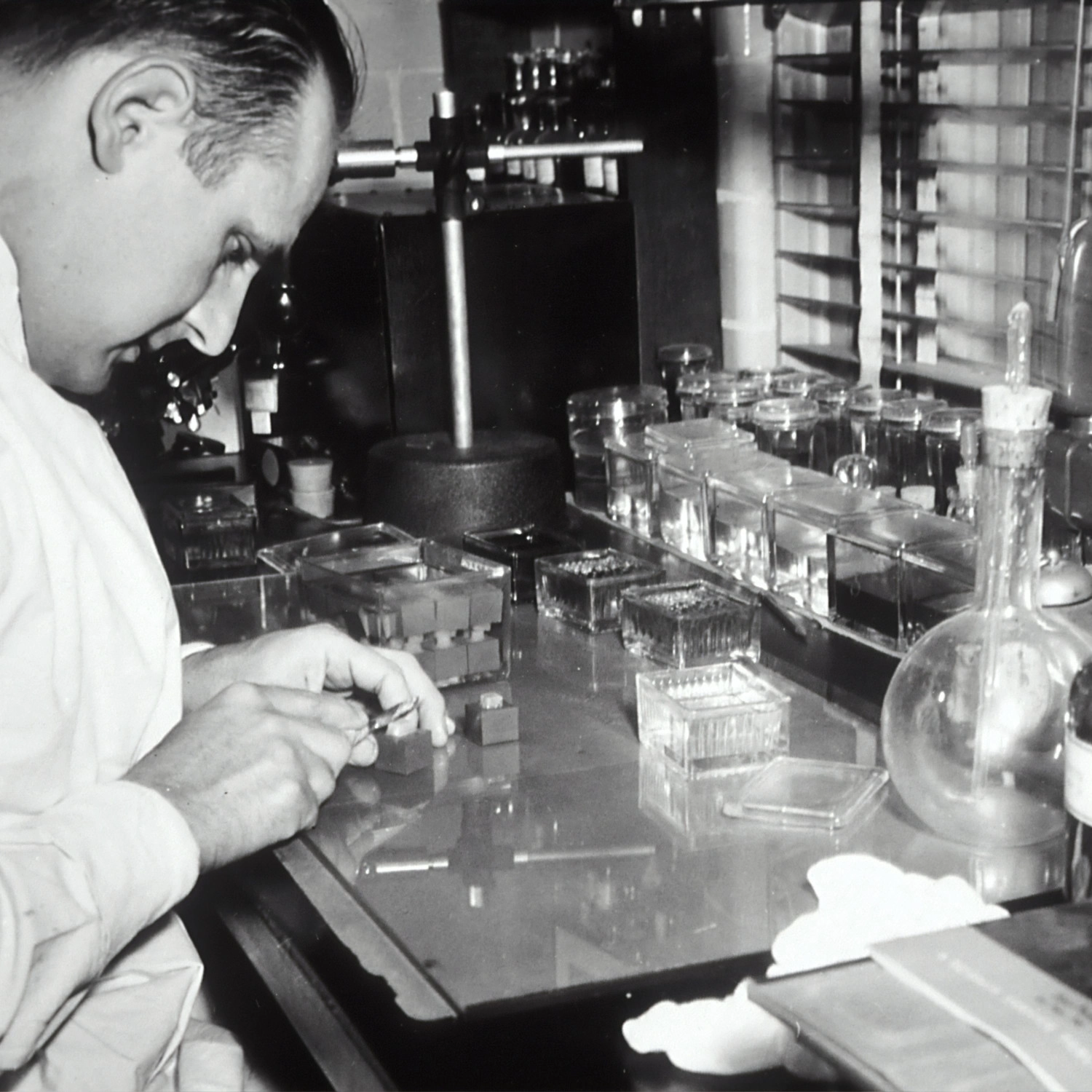 The Perfect Podcast - A Litmus Test